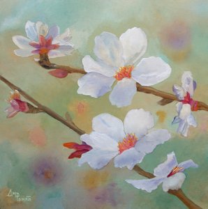 Fleurs d