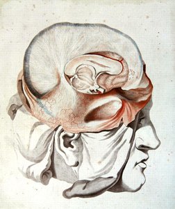 Le Crâne, du 