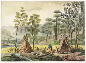 Coutumes funéraires, Nouvelle-Hollande, planche 63 de 