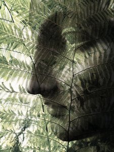 Profil botanique du visage - Angelo Cerantola