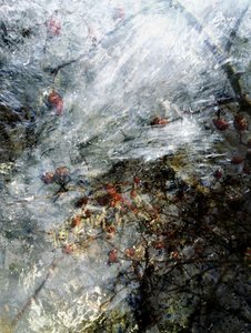 Baies rouges surgelées - Angelo Cerantola