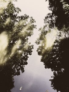  - Angelo Cerantola