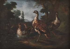 Paysage avec oiseaux