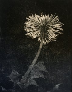 Espoir, 2019 - angus hampel