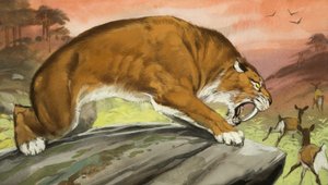 Le tigre à dents de sabre en chasse - Angus McBride