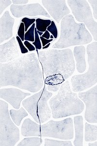 Rose bleue abstraite - Ankie Kooi