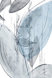 Gentle Blue Botanicals - Ankie Kooi