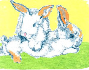 Lapins de Pâques - Anna Platts