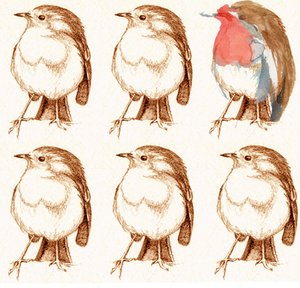 Rouge-gorge - Anna Platts