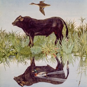 Réflexion, 2004 (acrylique)