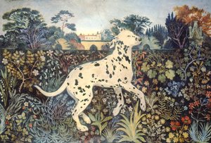 Sophie - Anna Pugh