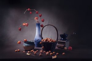  - Anna Qu