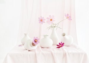  - Anna Qu
