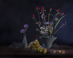  - Anna Qu