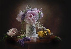  - Anna Qu