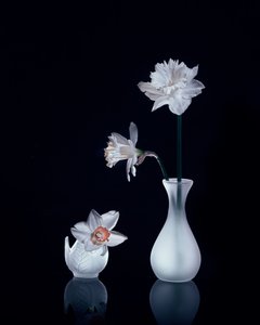  - Anna Qu
