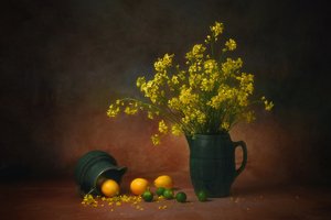 Fleurs jaunes et citrons - Anna Wan