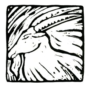 Horoscope (Capricorne), 2017 - Annalisa Morrocco