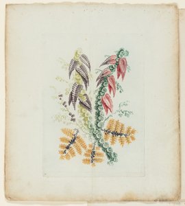 Assiette, de la Nouvelle Suite de Carnets de Fleurs Idéales pour l