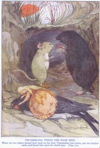 Poucette soigne le pauvre oiseau - Anne Anderson