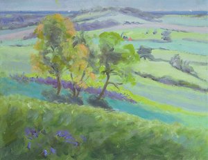 Vers Winchelsea, Sussex, avec des jacinthes au printemps