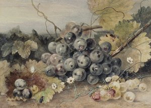 Raisins et fraises