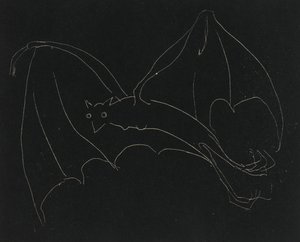 Série de nuit : La Chauve-souris