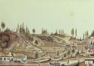 Ballston Spring, New York, 1807 - Anne Marguerite Hyde de Neuville