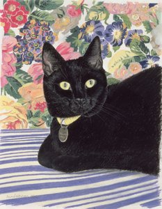 Chat noir - Anne Robinson