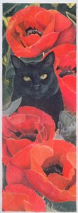 Chat noir avec coquelicots