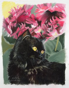 Tulipes noires - Anne Robinson