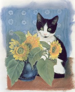 Échecs et tournesols