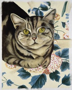 Chat tigré