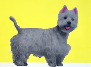 Bestie Westie, 2015 - Anne Storno