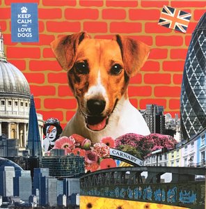 Jack Russel, 2015