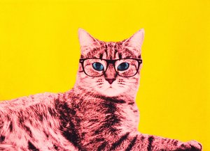 La vie en technicolor