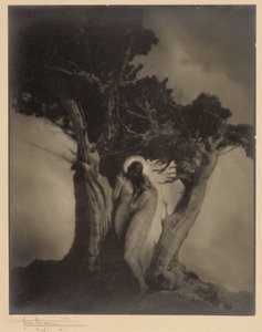 Le Cœur de la tempête - Anne W. Brigman