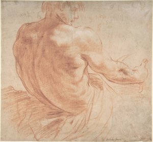 Jeune homme assis tourné vers la droite, vu de dos - Annibale Carracci