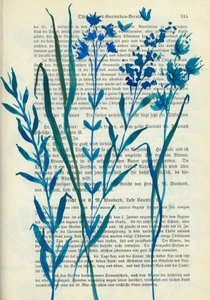 Fleurs bleues – Texte ancien