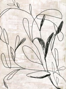 Dessin botanique au trait