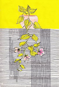 Grille géométrique de plantes grimpantes en fleurs