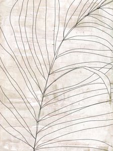 Lignes botaniques minimalistes