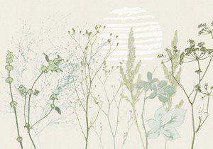 Lever de soleil botanique aux tons doux - Annick