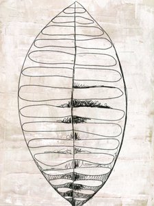 Dessin au trait de feuilles organiques