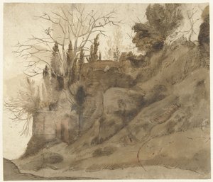 Ruine envahie par la végétation