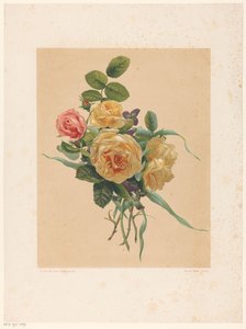 Bouquet de roses et de violettes - Anonymous