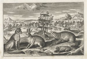 Animaux de la forêt