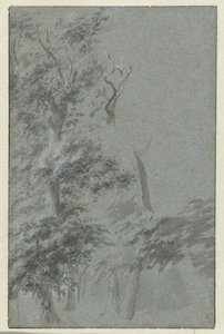 Vue de forêt - Anonymous