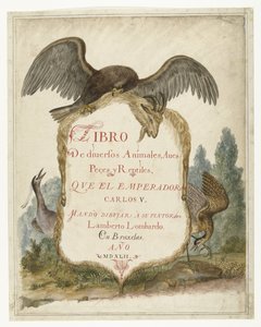 Cartouche tenu par un aigle de pierre, héron et butor 
Lombard album (titre de la série) - Anonymous