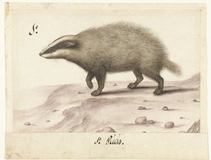Das Lombard album (titre de la série)
